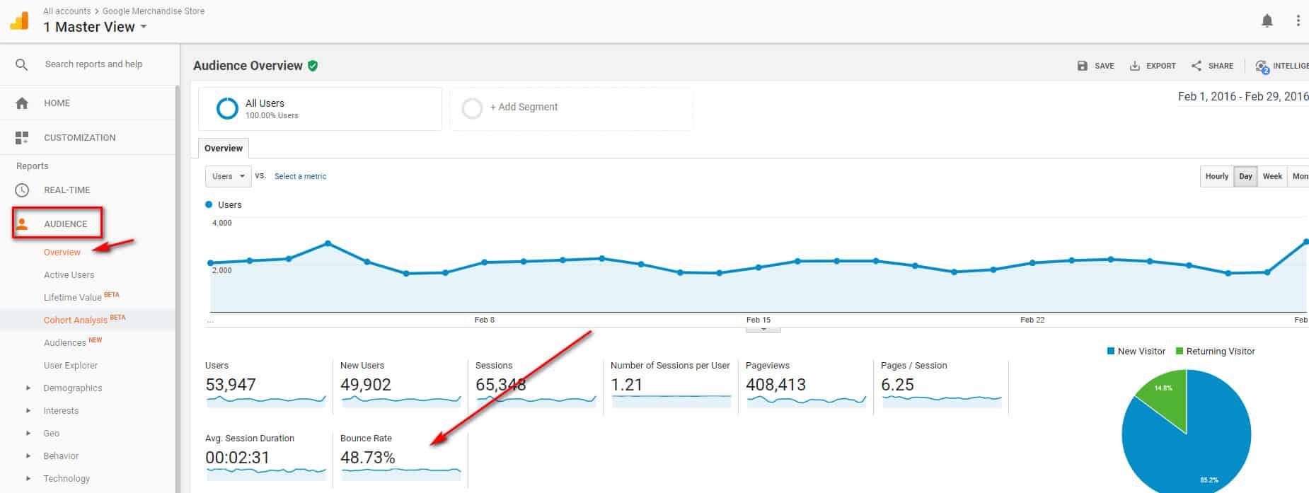 Check Bounce Rate Via Google Analytics